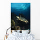Hawksbill Sea Turtle Swimming Wall Decal