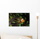 Clownfish Green Anemone Indonesia Wall Decal