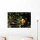 Clownfish Green Anemone Indonesia Wall Decal