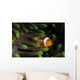Clownfish Green Anemone Indonesia Wall Decal