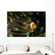 Clownfish Green Anemone Indonesia Wall Decal
