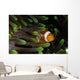 Clownfish Green Anemone Indonesia Wall Decal