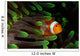 Clownfish Green Anemone Indonesia Wall Decal