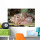 Scorpionfish Indonesia Wall Decal