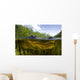 Split Level American Alligator Wall Decal
