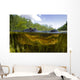 Split Level American Alligator Wall Decal