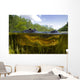 Split Level American Alligator Wall Decal