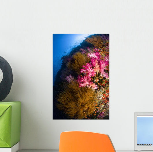 Black Coral and Soft Wall Decal
