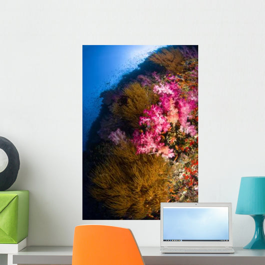 Black Coral and Soft Wall Decal