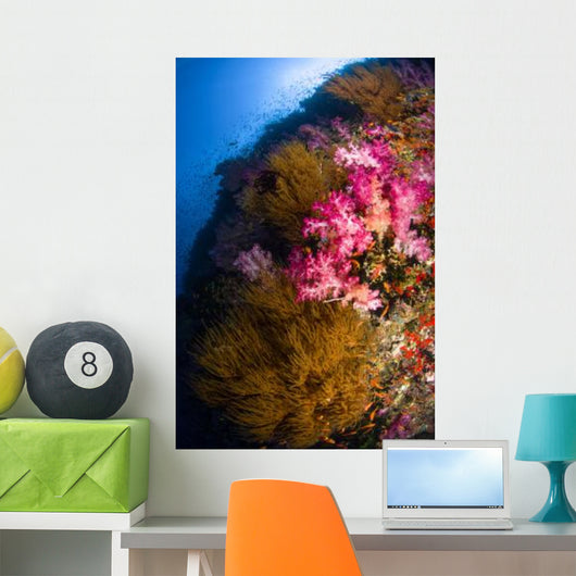 Black Coral and Soft Wall Decal