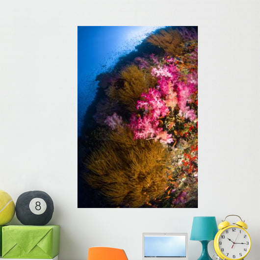 Black Coral and Soft Wall Decal