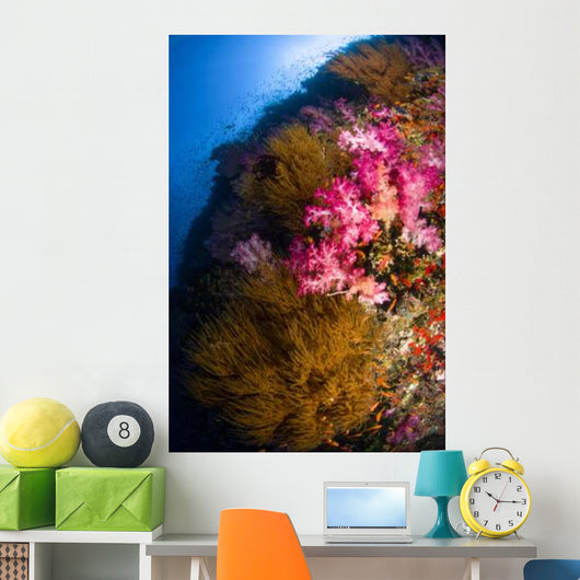 Black Coral and Soft Wall Decal