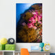 Black Coral and Soft Wall Decal