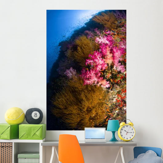 Black Coral and Soft Wall Decal