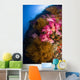 Black Coral and Soft Wall Decal