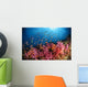 Anthias Fish and Soft Wall Decal