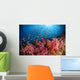 Anthias Fish and Soft Wall Decal