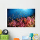 Anthias Fish and Soft Wall Decal