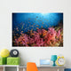 Anthias Fish and Soft Wall Decal