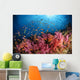 Anthias Fish and Soft Wall Decal
