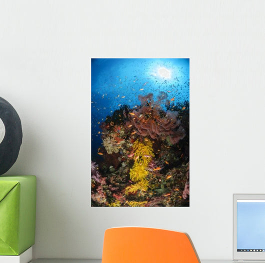 Soft Coral and Sea Wall Decal Design 1