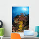 Soft Coral and Sea Wall Decal Design 1
