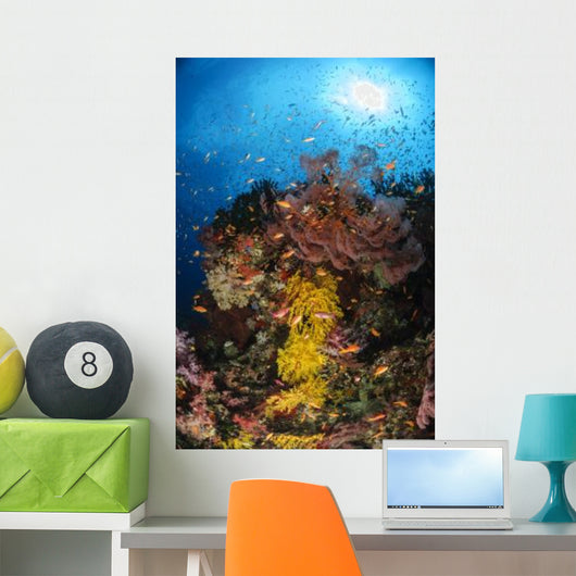 Soft Coral and Sea Wall Decal Design 1