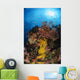 Soft Coral and Sea Wall Decal Design 1