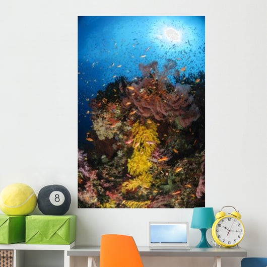 Soft Coral and Sea Wall Decal Design 1