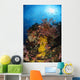 Soft Coral and Sea Wall Decal Design 1