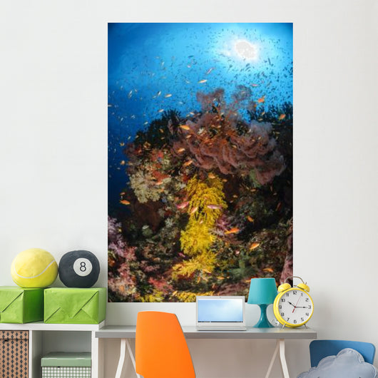 Soft Coral and Sea Wall Decal Design 1