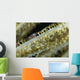 Shrimp Sea Fan Belize Wall Decal