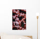 Pygmy Seahorse Indonesia Wall Decal Design 2