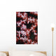 Pygmy Seahorse Indonesia Wall Decal Design 2