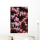 Pygmy Seahorse Indonesia Wall Decal Design 2