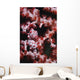 Pygmy Seahorse Indonesia Wall Decal Design 2