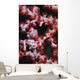 Pygmy Seahorse Indonesia Wall Decal Design 2