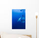 Male Great White with Wall Decal