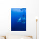 Male Great White with Wall Decal