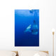 Male Great White with Wall Decal
