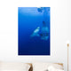 Male Great White with Wall Decal