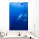 Male Great White with Wall Decal