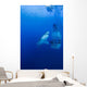 Male Great White with Wall Decal