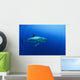 Female Great White Shark Wall Decal Design 2
