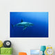 Female Great White Shark Wall Decal Design 2