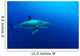 Female Great White Shark Wall Decal Design 2