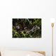 Crocodile Fish Indonesia Wall Decal