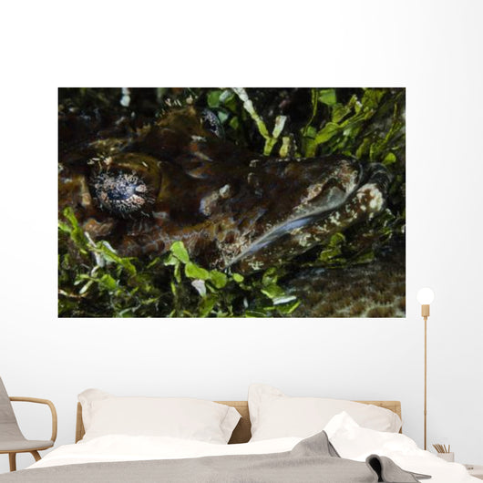 Crocodile Fish Indonesia Wall Decal
