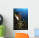Schoolmaster Snapper Belize Wall Decal