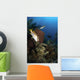 Schoolmaster Snapper Belize Wall Decal